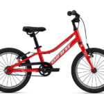 BICICLETA GIANT ARX 16 2026