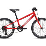 BICICLETA GIANT ARX 20 2025