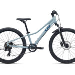 LIV TEMPT 24 DISC 2026